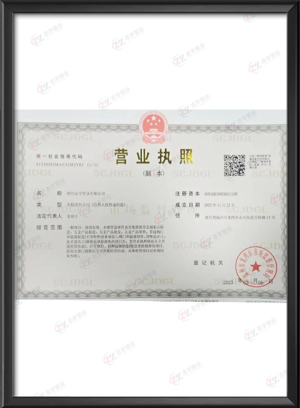 Business license